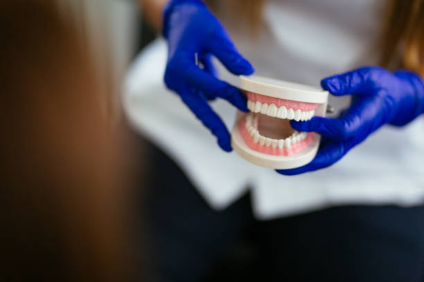 Professional Dental Services in Coats, NC